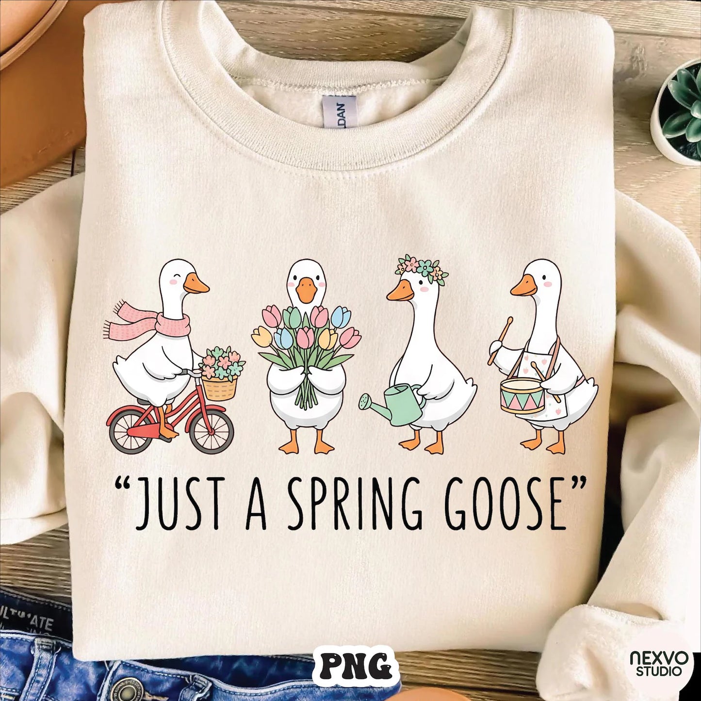 Just A Spring Goose
